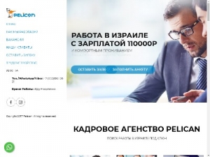 Скриншот главной страницы сайта pelican.co.com