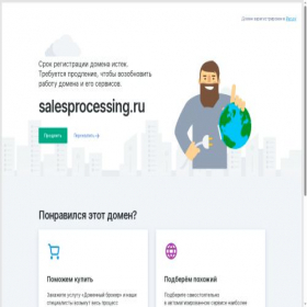 Скриншот главной страницы сайта salesprocessing.ru