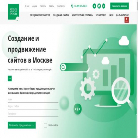 Скриншот главной страницы сайта seoprok.ru
